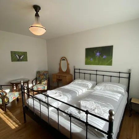 Appartement Haus Im Gruenen à Saalfelden Extérieur photo