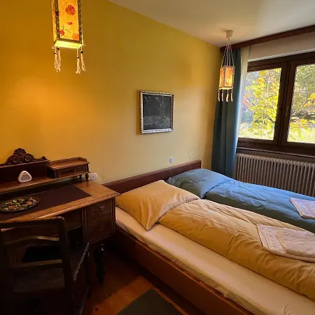 Appartement Haus Im Gruenen à Saalfelden Extérieur photo