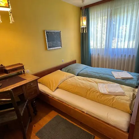 Appartement Haus Im Gruenen à Saalfelden Extérieur photo