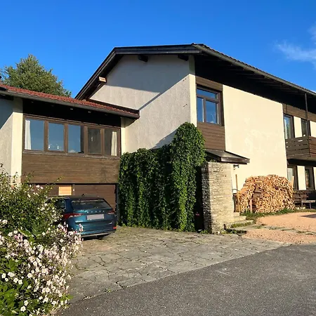 Appartement Haus Im Gruenen à Saalfelden Extérieur photo